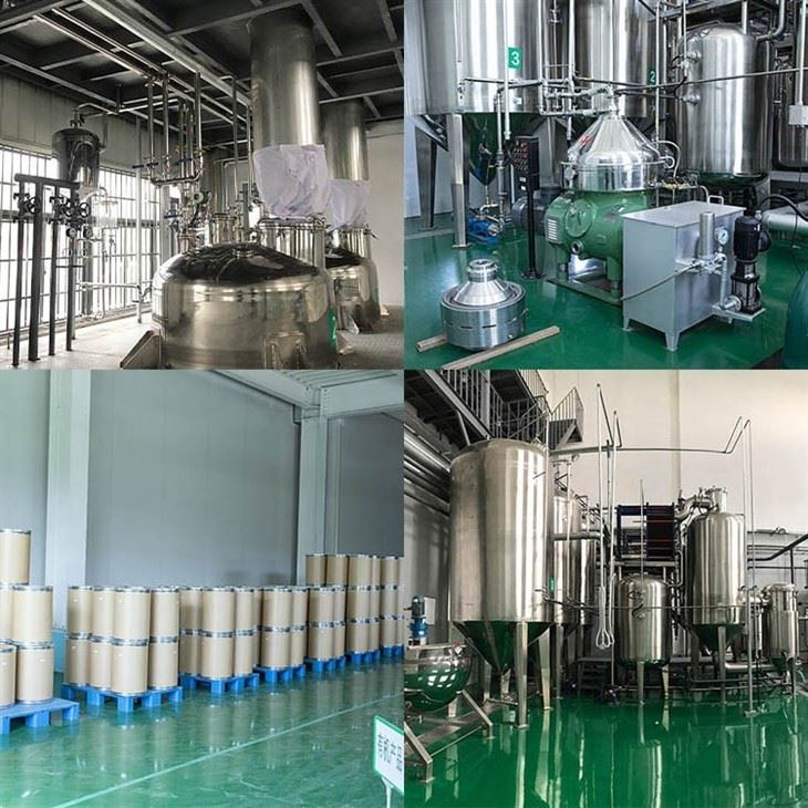 Green Coffee Bean Extract Powder factory